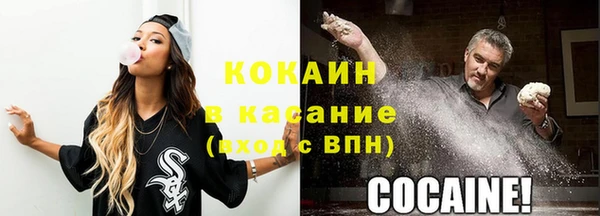 гидра Кодинск