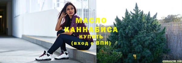 гидра Кодинск