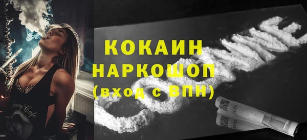 индика Козловка