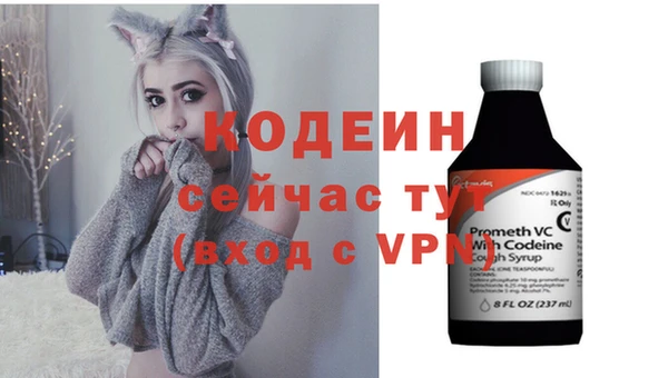 гидра Кодинск