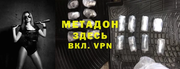 гидра Кодинск