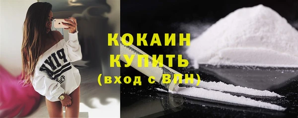 индика Козловка