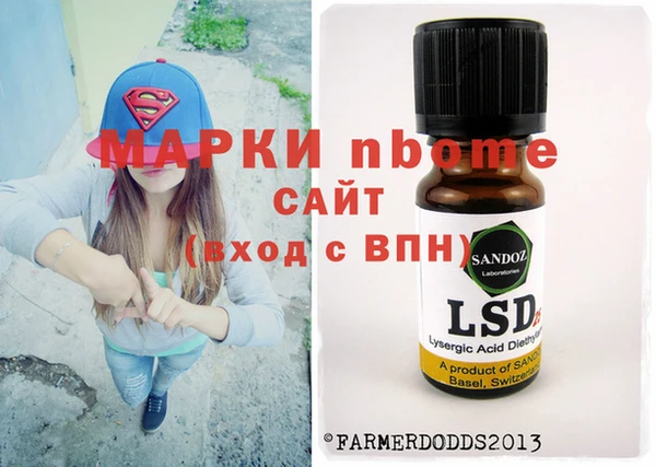 индика Козловка