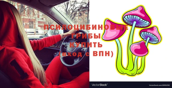 индика Козловка
