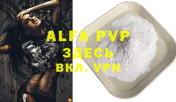 индика Козловка