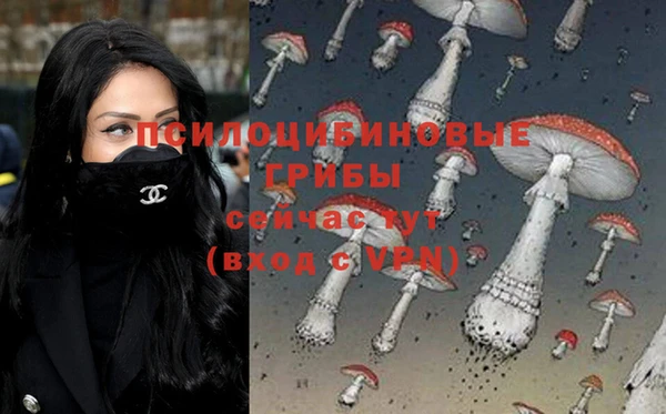 индика Козловка