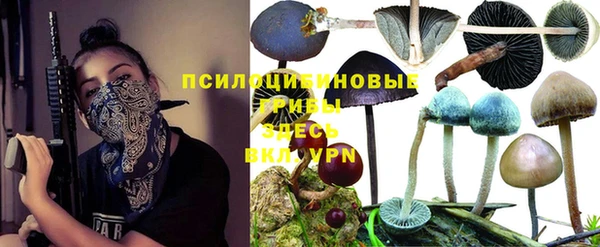 mdpv Козельск
