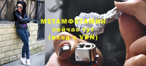 гидра Кодинск