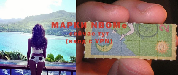 гидра Кодинск