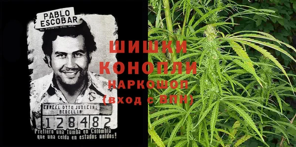 гидра Кодинск
