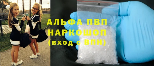 гидра Кодинск